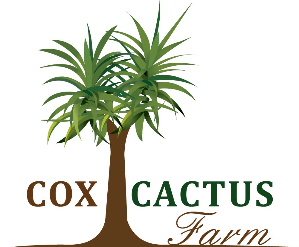 Home - Cox Cactus Farm - Phoenix, Arizona